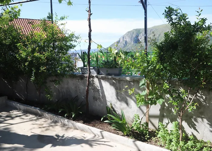Apartman Hadze