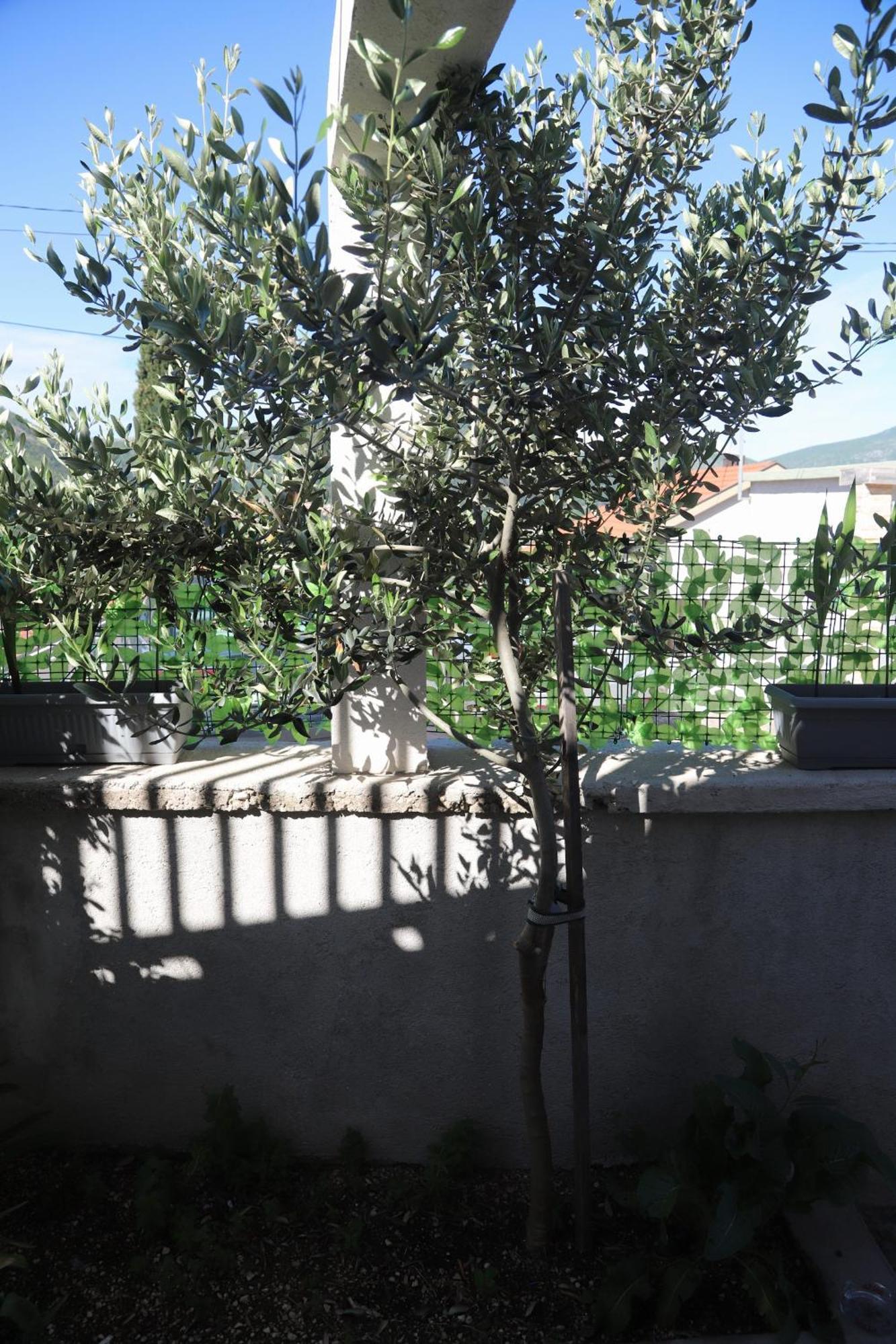 Apartment Hadze
