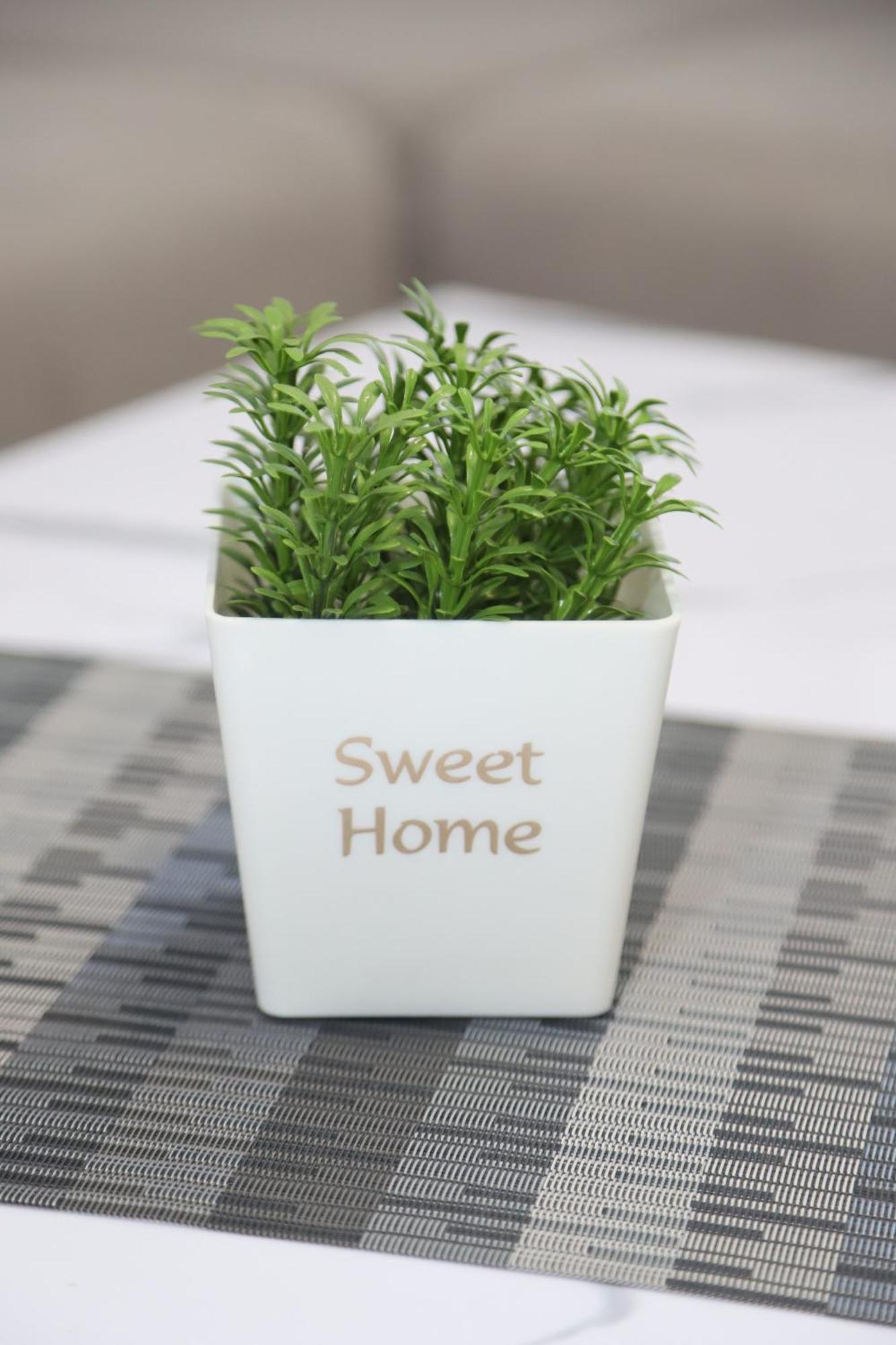 Apartment Hadze